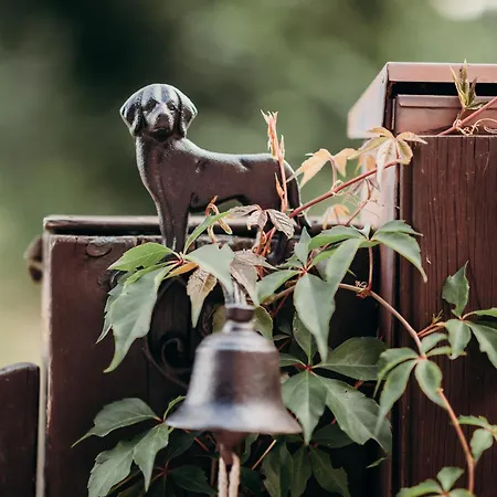 Dom W Dolinie Homestay szállás *