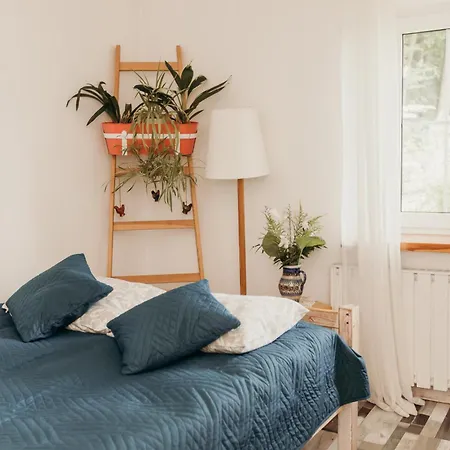 Dom W Dolinie Homestay szállás