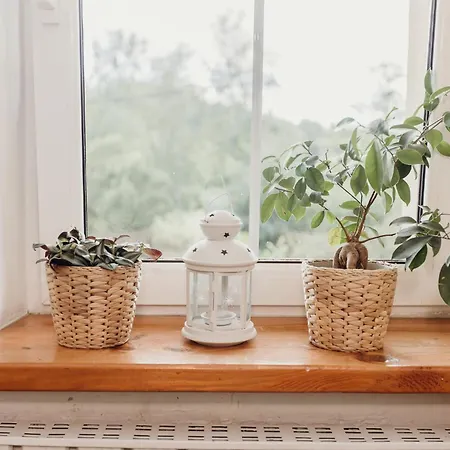 Dom W Dolinie Trzcińsko