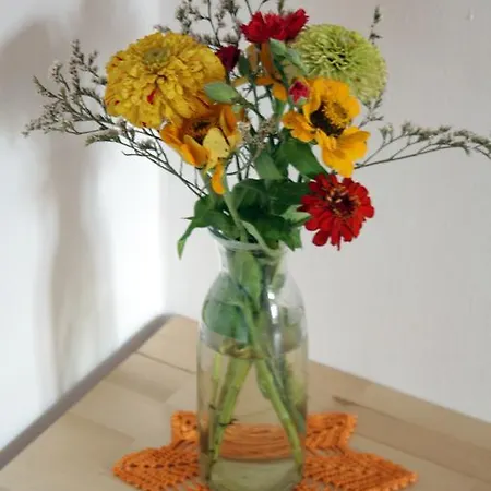 Privat bolig Dom W Dolinie Trzcinsko