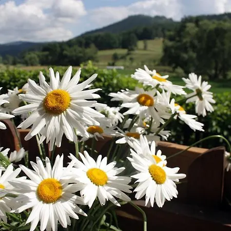 Privat bolig Dom W Dolinie