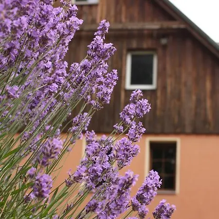 Dom W Dolinie Homestay