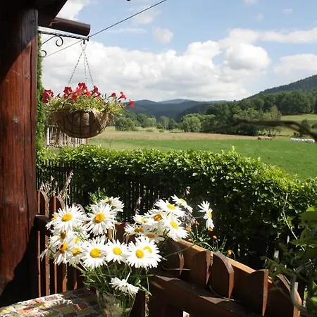 Homestay szállás Dom W Dolinie Trzcińsko