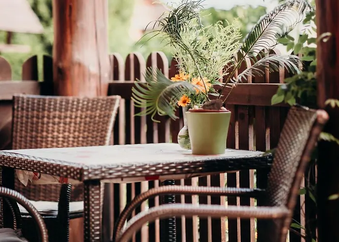 Homestay szállás Dom W Dolinie *