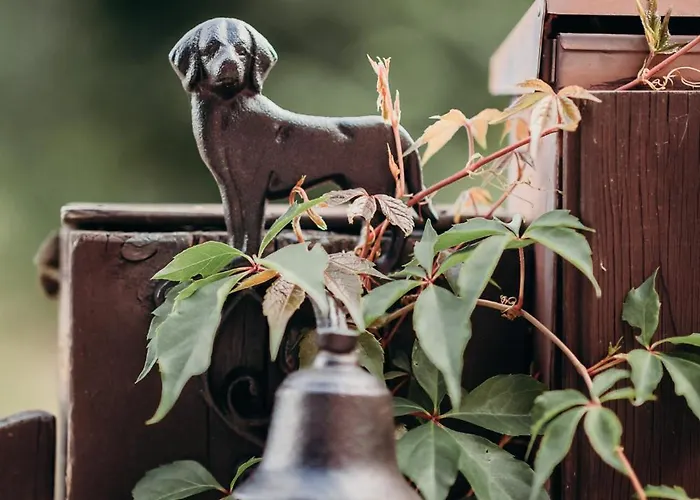 Dom W Dolinie Homestay szállás *