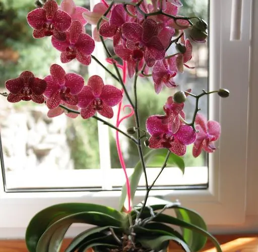 Dom W Dolinie * Trzcińsko