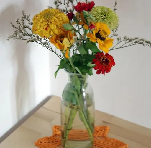 Homestay szállás Dom W Dolinie Trzcińsko