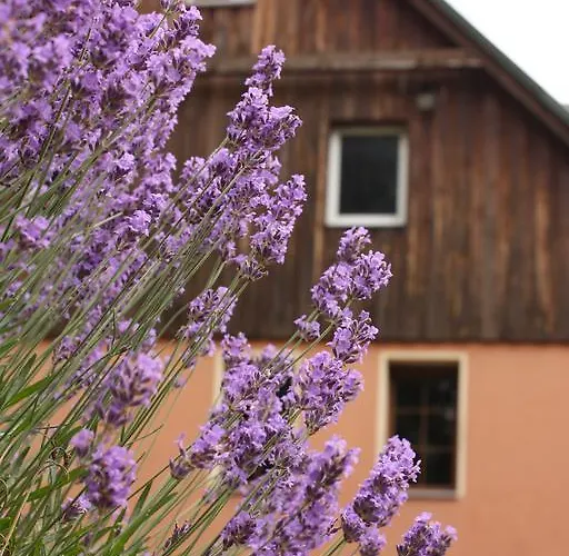 Dom W Dolinie Homestay szállás