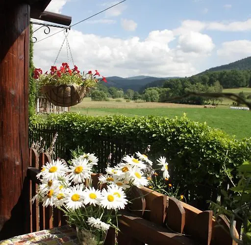 Homestay szállás Dom W Dolinie Trzcińsko